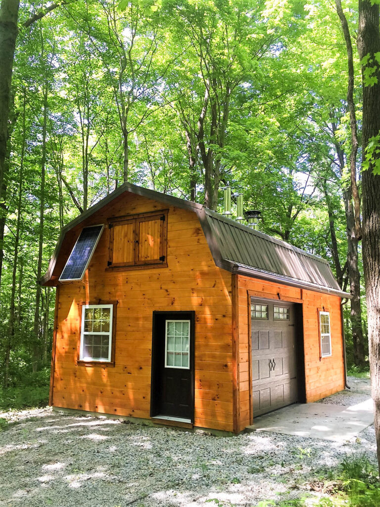 Mark Halsted (1) Mark Halsted (1)